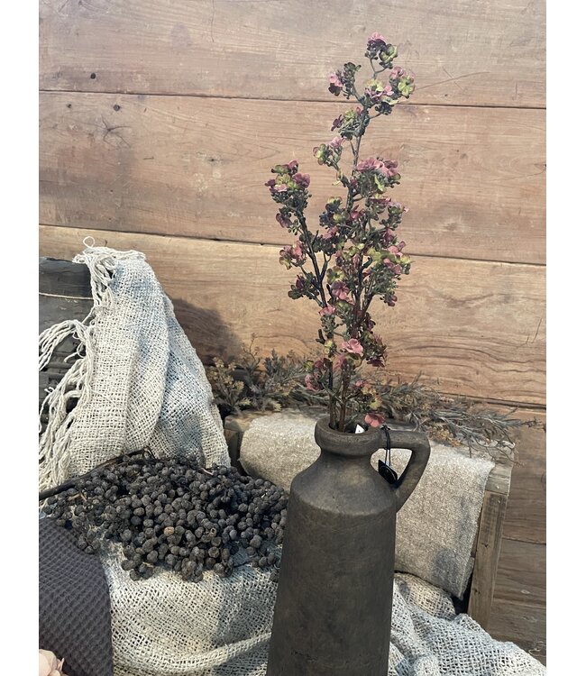 Paarse Ganzerik - Potentilla 102 cm