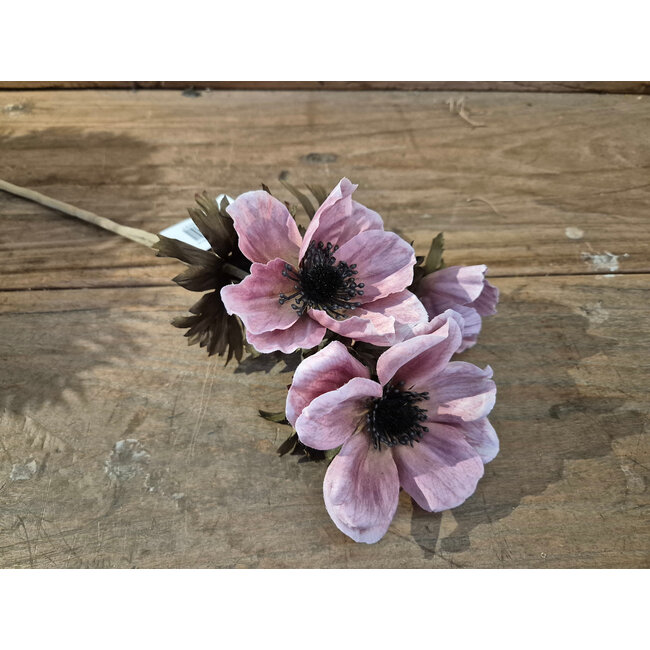 Anemone Autumn Pink 56 cm