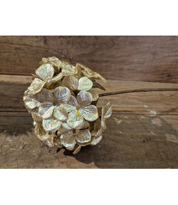 Countryfield ## Kunstbloem Hydrangea crème-L67B20H15CM