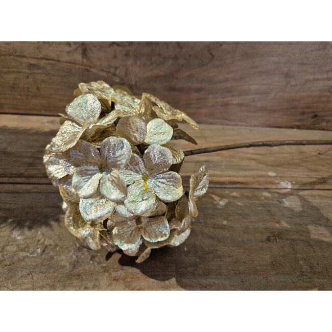 Countryfield # Kunstbloem Hydrangea crème-L67B20H15CM