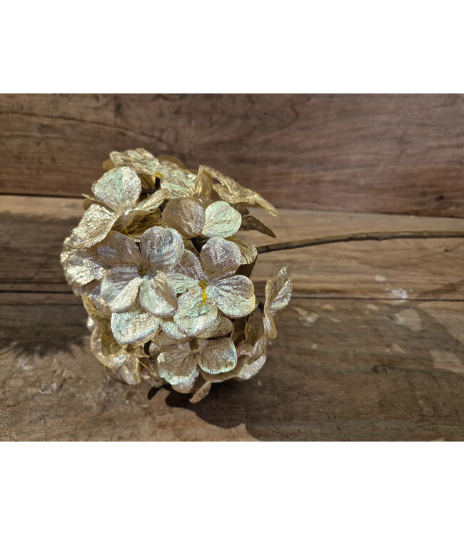 Countryfield ### Kunstbloem Hydrangea crème-L67B20H15CM