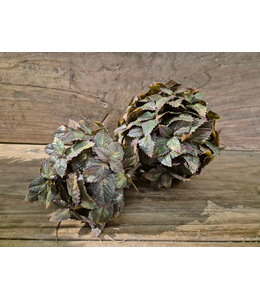 Countryfield Kunstdeco bol Plectranthus M groen-L15B15H15CM