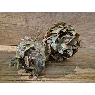 Countryfield # Kunstdeco bol Plectranthus M groen-L15B15H15CM
