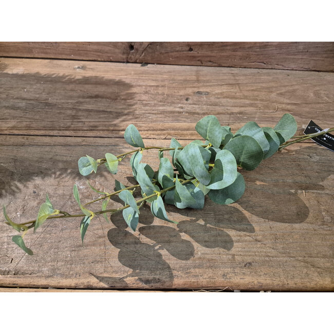 Countryfield # Kunstblad Eucalyptus Cinerea S groen-L10B10H74CM