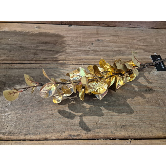 Countryfield # Kunstblad Eucalyptus Cinerea S goud-L10B10H74CM 826204 Verkoop Besteleenheid: 24