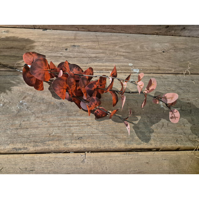 Countryfield # Kunstblad Eucalyptus Cinerea S rood-L10B10H74CM