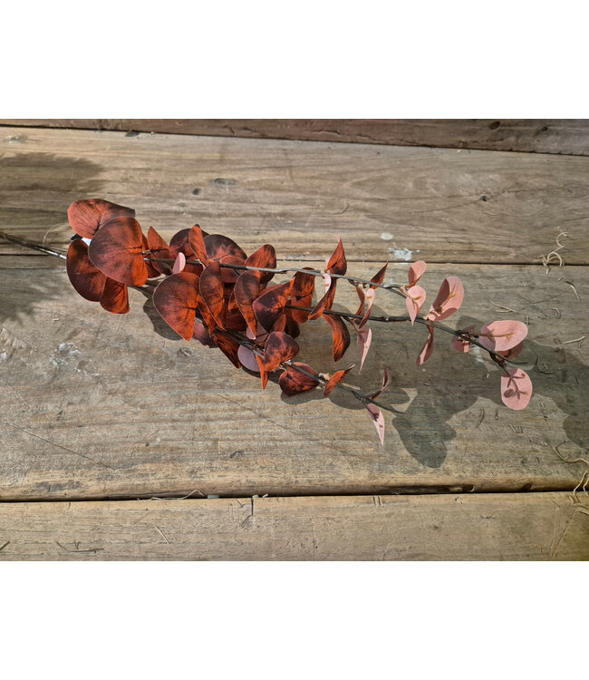Countryfield Kunstblad Eucalyptus Cinerea S rood-L10B10H74CM