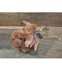Countryfield @ Kunstbundel Ricinus bruin-L36B17H20CM
