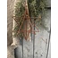 # 3 d ster rusty 26 cm hoog