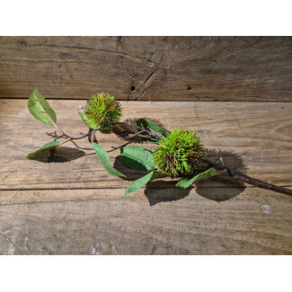 # Kastanjetak - 60 cm