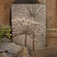 # 747 - Afbeelding op hardboard - berenklauw - 14 x 19 cm