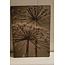 # 747 - Afbeelding op hardboard - berenklauw - 14 x 19 cm