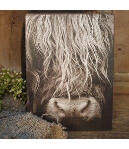 748 - Afbeelding op hardboard - schotse hooglander - 14 x 19 cm