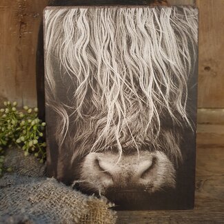 # 748 - Afbeelding op hardboard - schotse hooglander - 14 x 19 cm