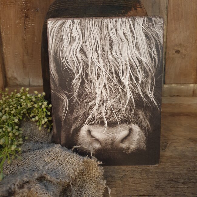 # 748 - Afbeelding op hardboard - schotse hooglander - 14 x 19 cm