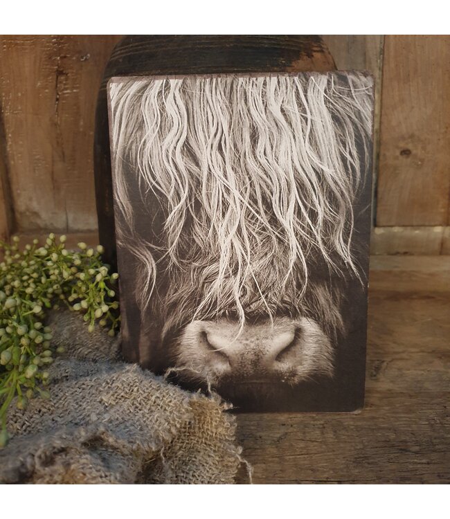 # 748 - Afbeelding op hardboard - schotse hooglander - 14 x 19 cm