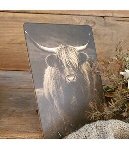 847 - Afbeelding op hardboard - hooglander met hoorns