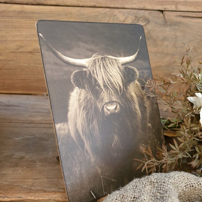 # 847 - Afbeelding op hardboard - hooglander met hoorns