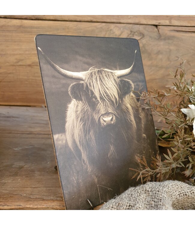 # 847 - Afbeelding op hardboard - hooglander met hoorns