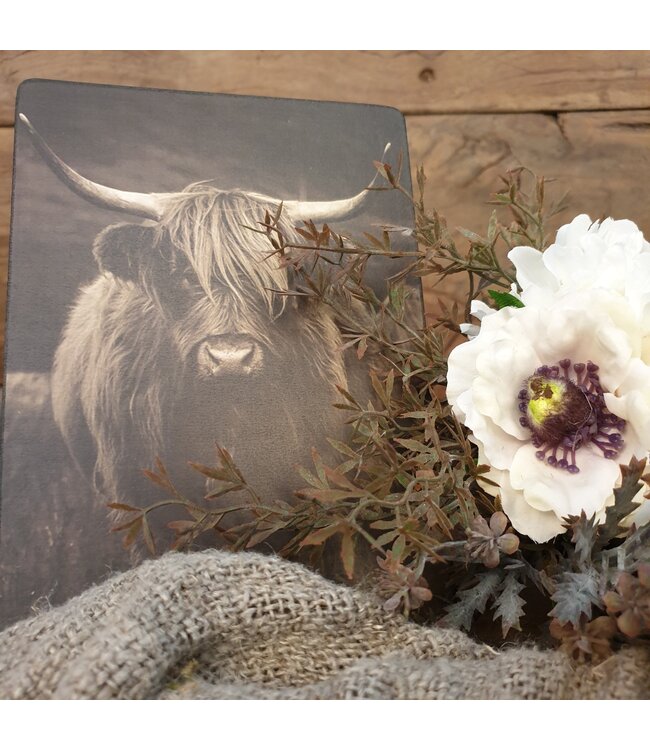 # 847 - Afbeelding op hardboard - hooglander met hoorns