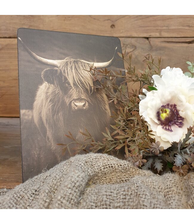 # 847 - Afbeelding op hardboard - hooglander met hoorns