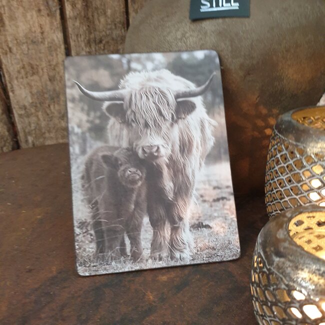 # 878 - afbeelding op hardboard -  hooglander met kalf - 14 x 19 cm