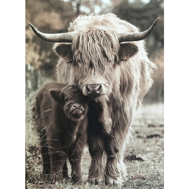 # 878 - afbeelding op hardboard -  hooglander met kalf - 14 x 19 cm