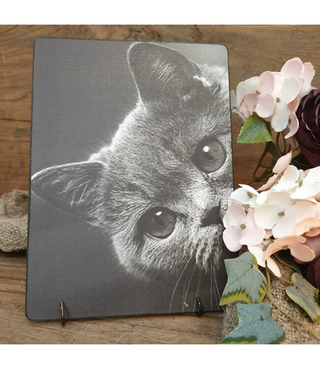 892 - Poes - 19 x 14 cm - afbeelding op hardboard