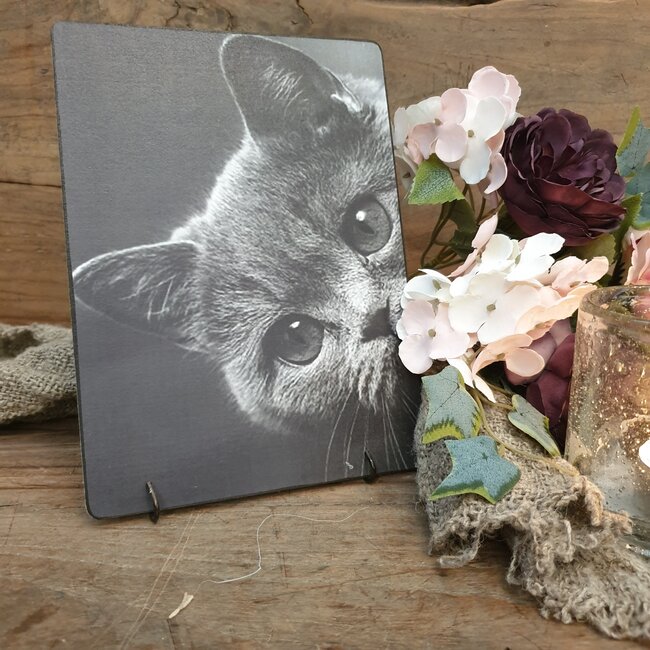 892 - Poes - 19 x 14 cm - afbeelding op hardboard