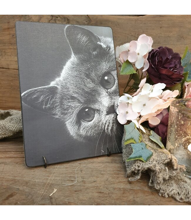 892 - Poes - 19 x 14 cm - afbeelding op hardboard