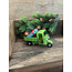 # Groene tuktuk kerst
