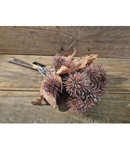 Countryfield @ Kunstbundel Ricinus-L36B17H20CM