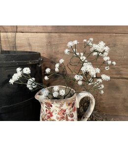 Countryfield Gypsophila crème-L4B15H61CM - gipskruid