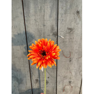 ## Gerbera l58cm oranje