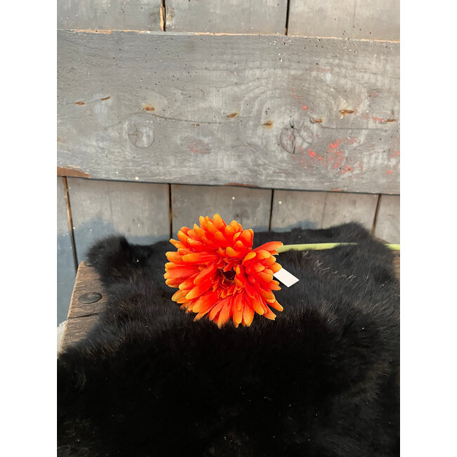 Gerbera l58cm oranje