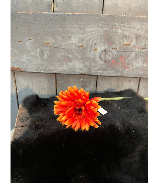 # Gerbera l58cm oranje