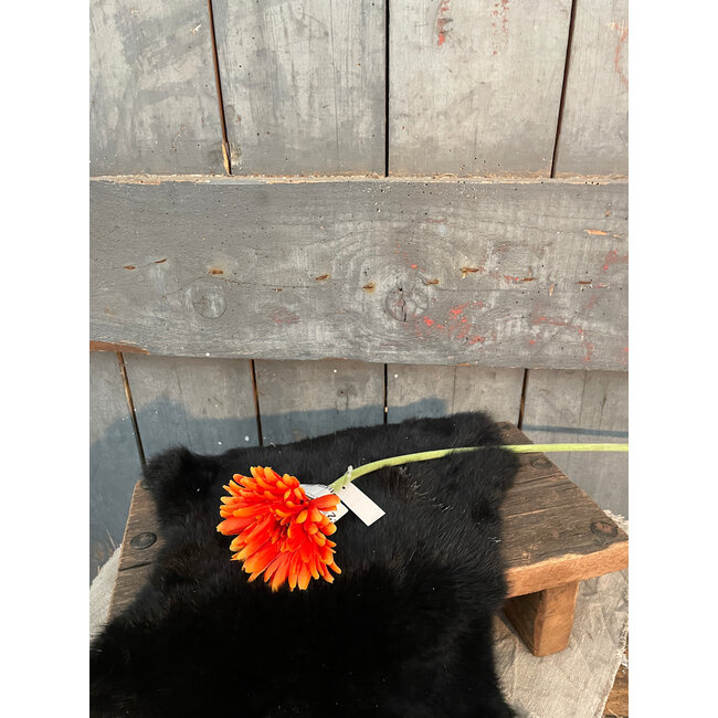 Gerbera l58cm oranje