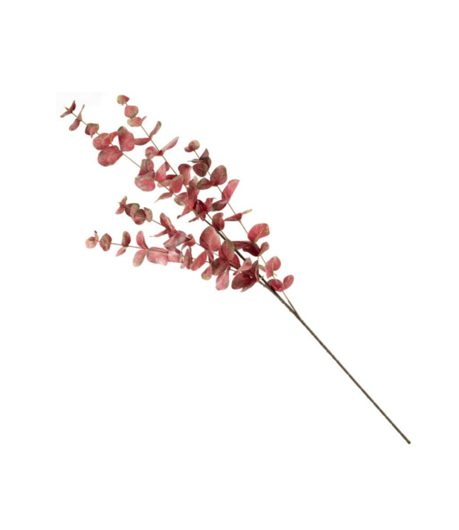 Kunstbloem eucalyptus 100 cm burgundy
