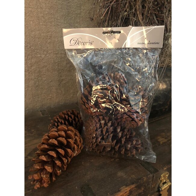 Zakje met 3 grote dennenappels