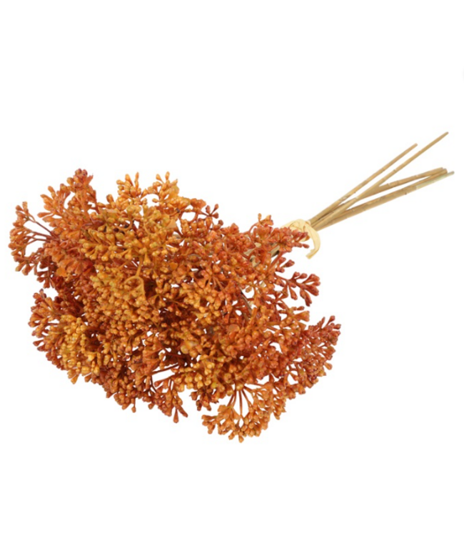 Countryfield # Achillea oranje-L24B13H10CM