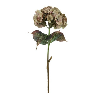 Countryfield Kunstbloem Hydrangea beige-L24B24H79CM