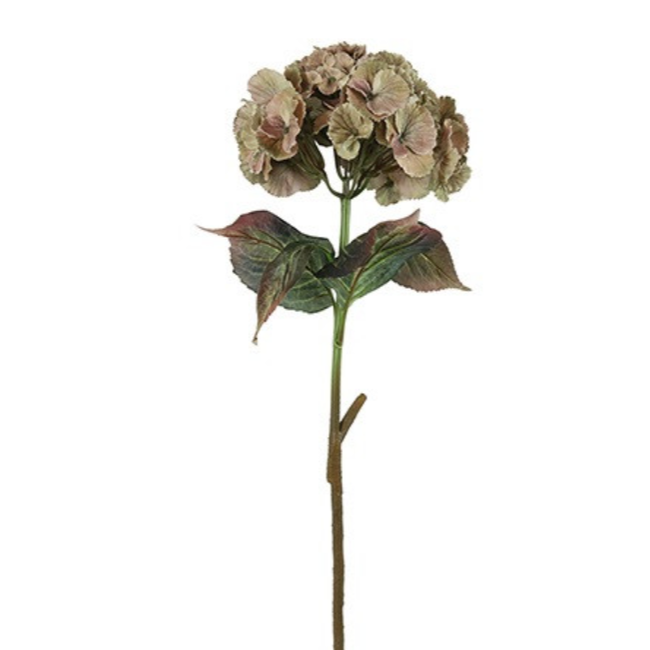 Countryfield Kunstbloem Hydrangea beige-L24B24H79CM