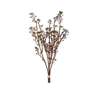 Countryfield Kunst bundel Brassica bruin-L12B8H52CM