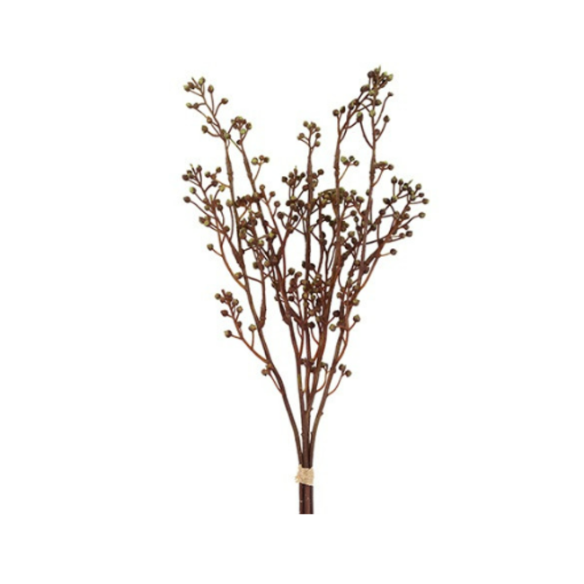 Countryfield Kunst bundel Brassica bruin-L12B8H52CM