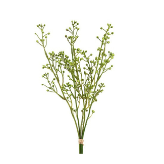 Countryfield Kunst bundel Brassica groen-L12B8H52CM