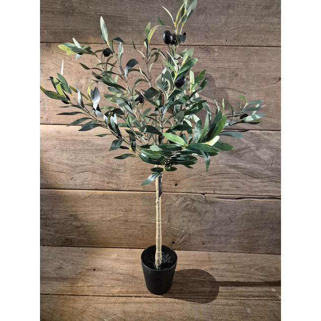Countryfield # Kunstplant Olijf Olea L paars-L70B30H70CM