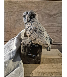 ## wordt niet verzonden - Owl at a Statue Majestic Brown D.14 H.20