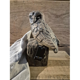 # wordt niet verzonden - Owl at a Statue Majestic Brown D.14 H.20