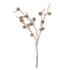 Countryfield Kunsttak Ricinus 3x beige-L10B9H81CM