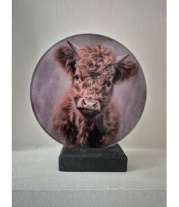 ## wordt niet verzonden  - Mix - Glasplaat rond incl houder - 18 x 20 cm - diverse afbeeldingen mogelijk